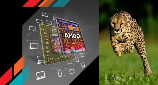 AMD-Cheetah