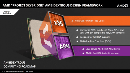 AMD_Project_Skybridge_01