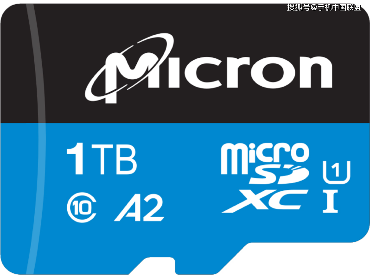Первый микро. Флешка микро SD 1тб. MICROSD Card 1tb. Микро СД 1 терабайт. Micro CD 1 TB.