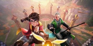 Harry Potter Campeones de Quidditch