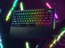 nuevo BlackWidow V4 Pro 75%